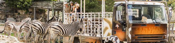 Safari Serengueti en Selwo Aventura