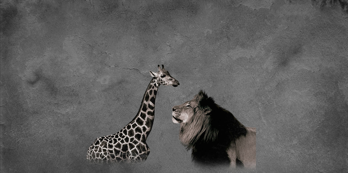 Black Friday en Selwo Aventura Estepona