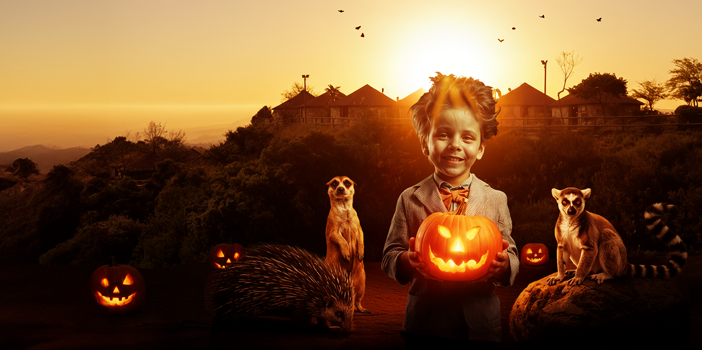 Halloween in Selwo Aventura Estepona