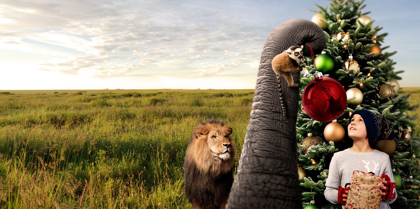 Selwo Aventura Estepona