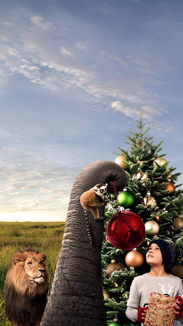 Selwo Aventura Estepona