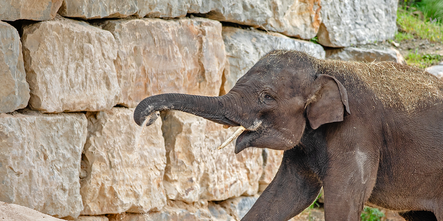 Selwo Aventura Estepona