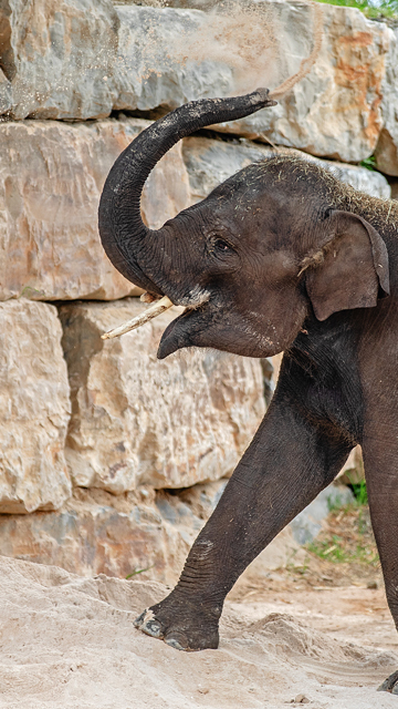 Selwo Aventura Estepona