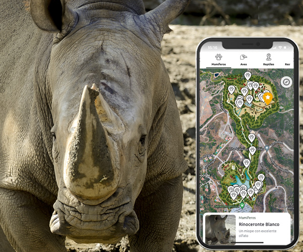 Selwo Aventura en tus manos con nuestra APP