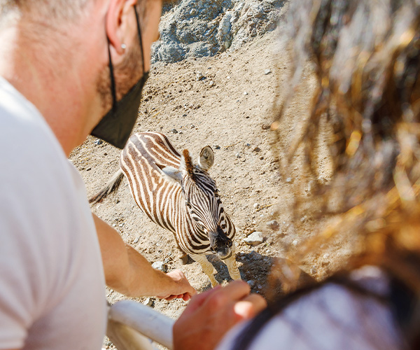 ¡Disfruta de un auténtico safari en plena Costa del Sol!