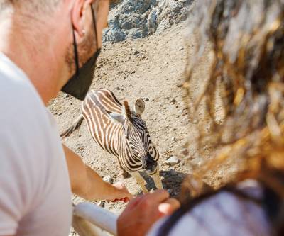 Enjoy a real safari in the heart of the Costa del Sol!