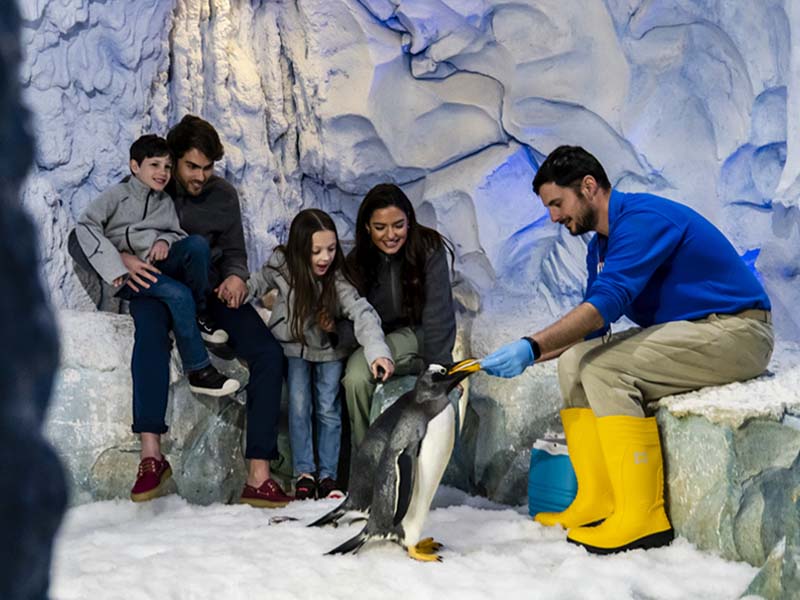 Familia participando en el Encuentro con pingüinos de Selwo Marina