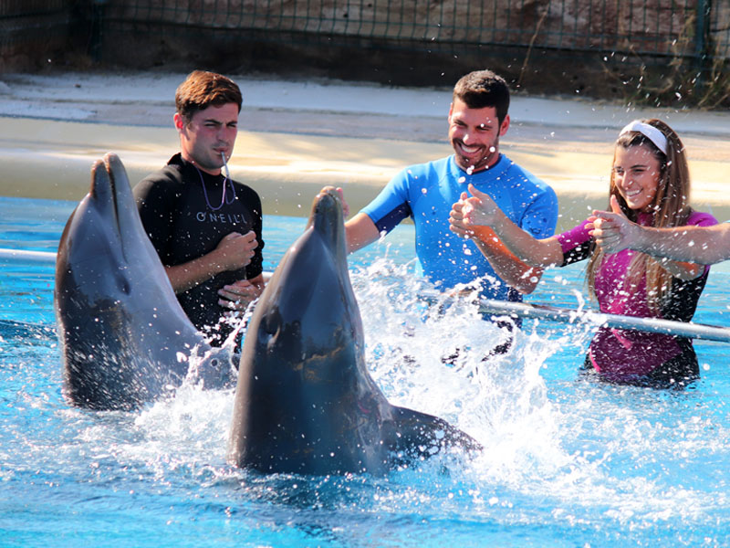Encuentro con delfines en pareja en Selwo Marina