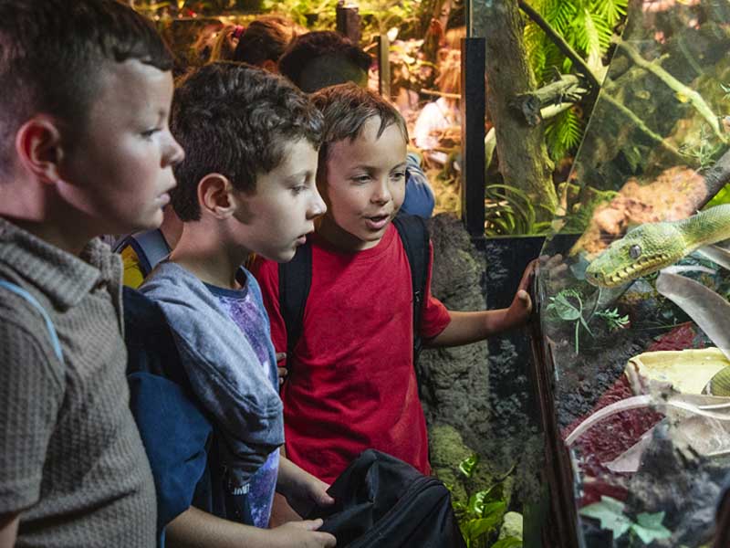 newsletter highlight Parque Warner Madrid