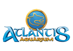 Atlantis Jornada Profesores