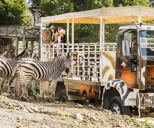 ¡Vive un auténtico safari!